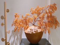 -次第花开素食雅宴