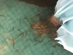 -宁波杭州湾海底温泉