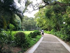 -四海公园(南山区)