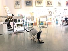 -一品格美术·中考高中成人美术培训