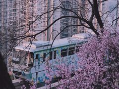 -佛图关公园