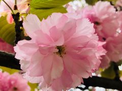 -快乐柠檬happylemon(丰台万达广场店)