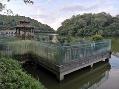 -李小龙乐园(顺德均安店)