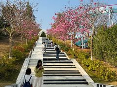 -盈香心动乐园