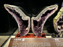 -正佳自然科学博物馆