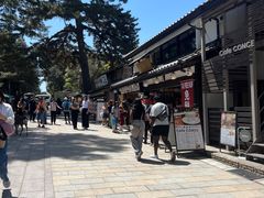 -奈良公园