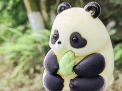 -都江堰中华大熊猫苑
