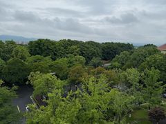 -幸福湖国际会议中心
