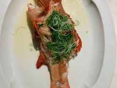 -伯衡55·吉品轩(乌鲁木齐南路店)