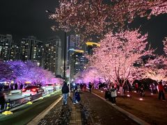 -西北湖绿化广场