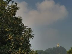 -南山植物园