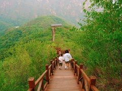 -大岭沟猕猴桃谷风景区