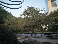 -九龙公园