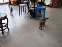 -陈超记美食店