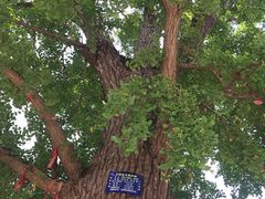 -金堂县云顶石城风景区