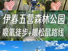 -五营国家森林公园
