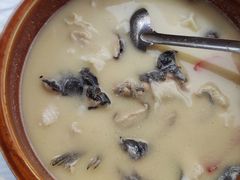 奶汤江团-胖大姐黄辣丁鱼庄(新津店)