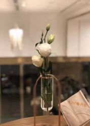-KINI绮丽·美学肌SPA进口仪器专业店