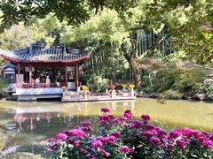 -汇龙潭