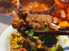 -歌迷量贩KTV(光彩市场店)