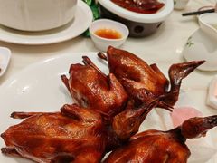 -稻香酒家·33年老字号·港式粤菜(富邦中心店)