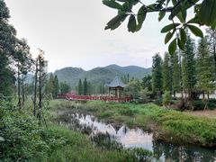 -广州市石门国家森林公园