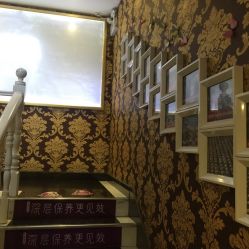 -莎蔓莉莎美容会所