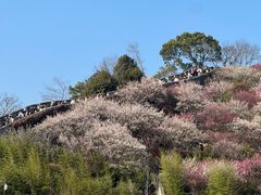 -台州府城(江南长城)