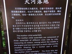 -望天鹅景区