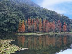 -广州市石门国家森林公园
