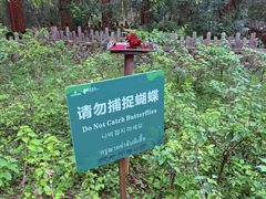 -野象谷景区