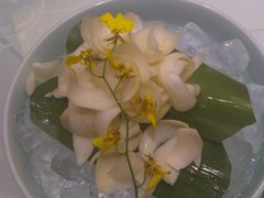 -上海圣淘沙万怡酒店