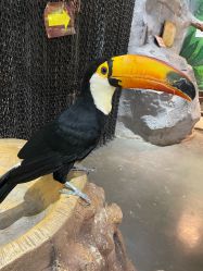 -Zoolung Zoolung动物主题公园(海信广场店)