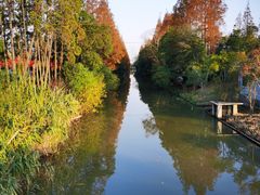 -上海长兴岛郊野公园