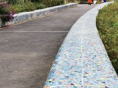 -白鹭湾湿地公园