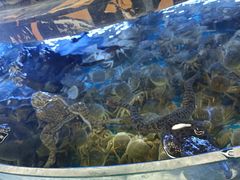 -银座购物广场(高新区店)