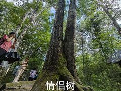 -汤旺河林海奇石景区