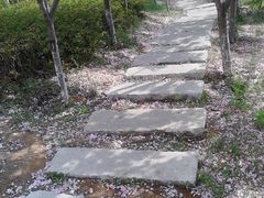 -中国海洋大学（崂山校区）-游泳馆