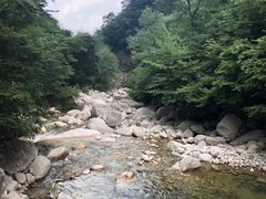 -青峰峡国家森林公园