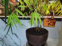 -Zsmart智尚酒店(苏州拙政园平江路店)
