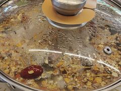 -百利鸽王(紫薇路店)