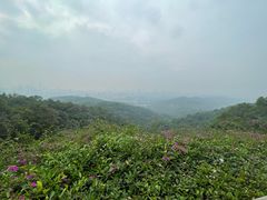 -广州市白云山风景名胜区