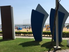 -碧海金沙