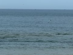 -威海国际海水浴场旅游区