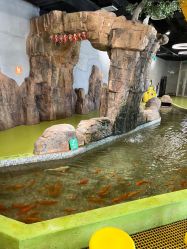 点击看大图 -七巧国萌宠乐园(龙湖天街店)