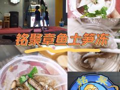 -铭聚章鱼土笋冻(松柏店)