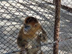 -哈尔滨北方森林动物园