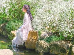 -中国茶叶博物馆(双峰馆区)