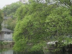 -江心屿景区