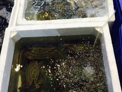 -盒马鲜生(宝地店)